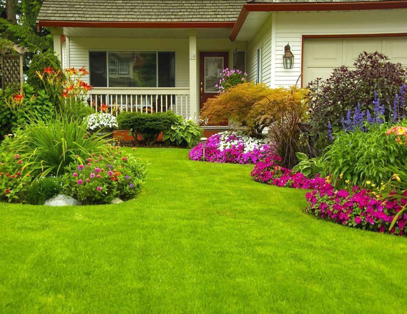 Garden-before
